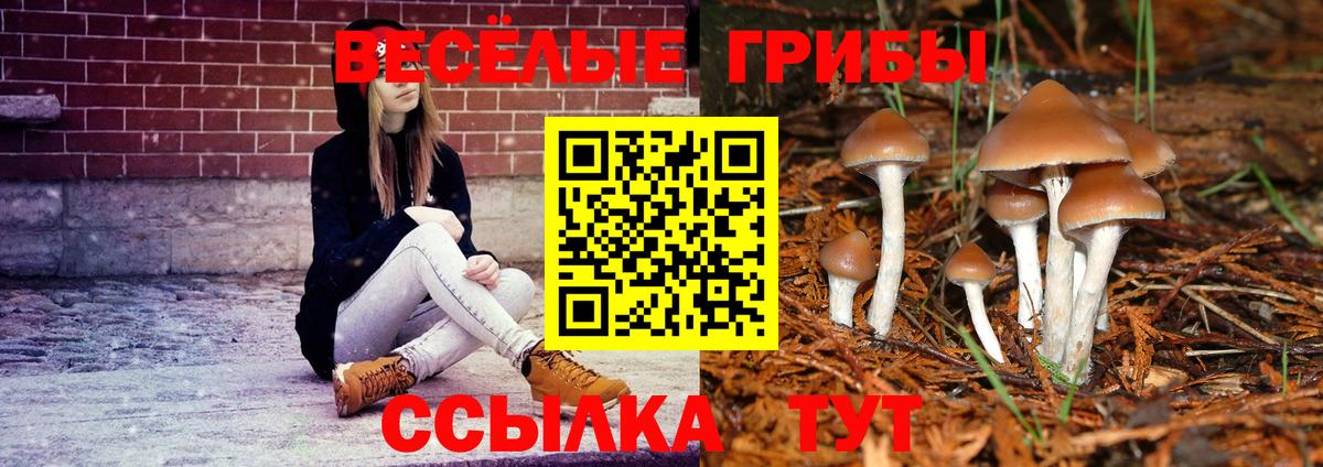 Галлюциногенные грибы GOLDEN TEACHER  Галлюциногенные грибы ЛСД  Кинешма  Вход с VPN 