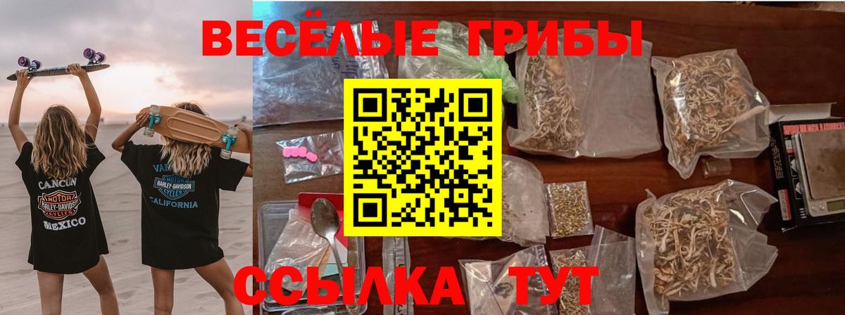 Псилоцибиновые грибы Cubensis Кинешма